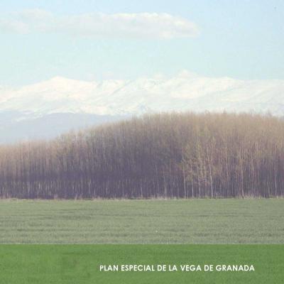 1.plan Especial De La Vega 